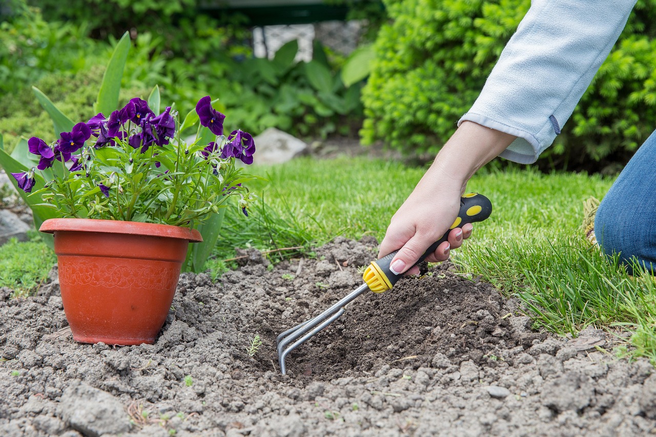 gardening, backyard, cultivation, nature, autumn, garden, gardening, gardening, gardening, gardening, gardening, backyard