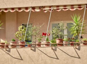 Charming Tirana balcony adorned with diverse potted plants, creating a vibrant outdoor space.