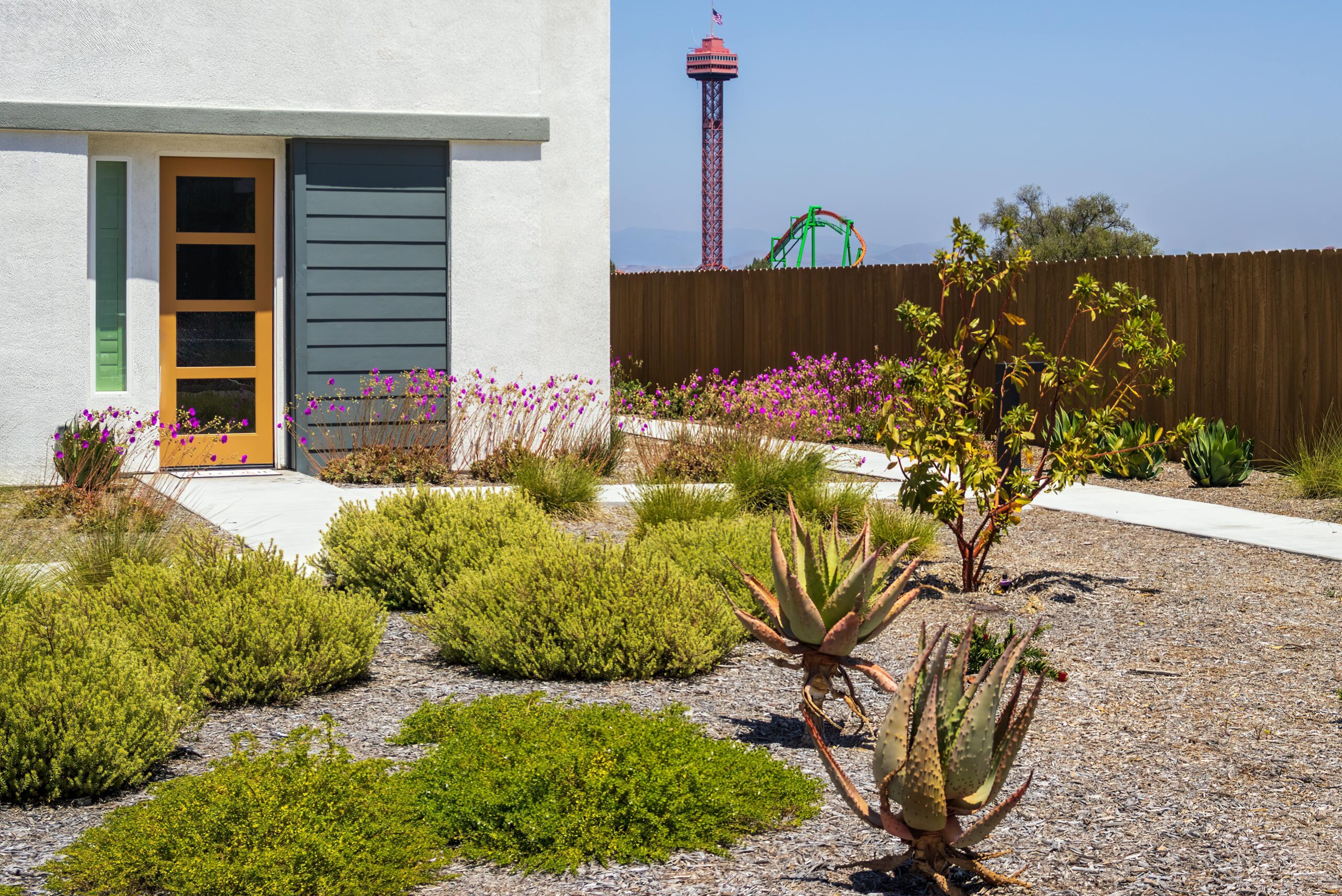 Contemporary garden with succulents and a distant amusement park view.
