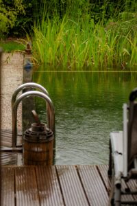A serene view of a natural swimming pool surrounded by greenery, featuring a wooden pier and metal ladder on a rainy day.
