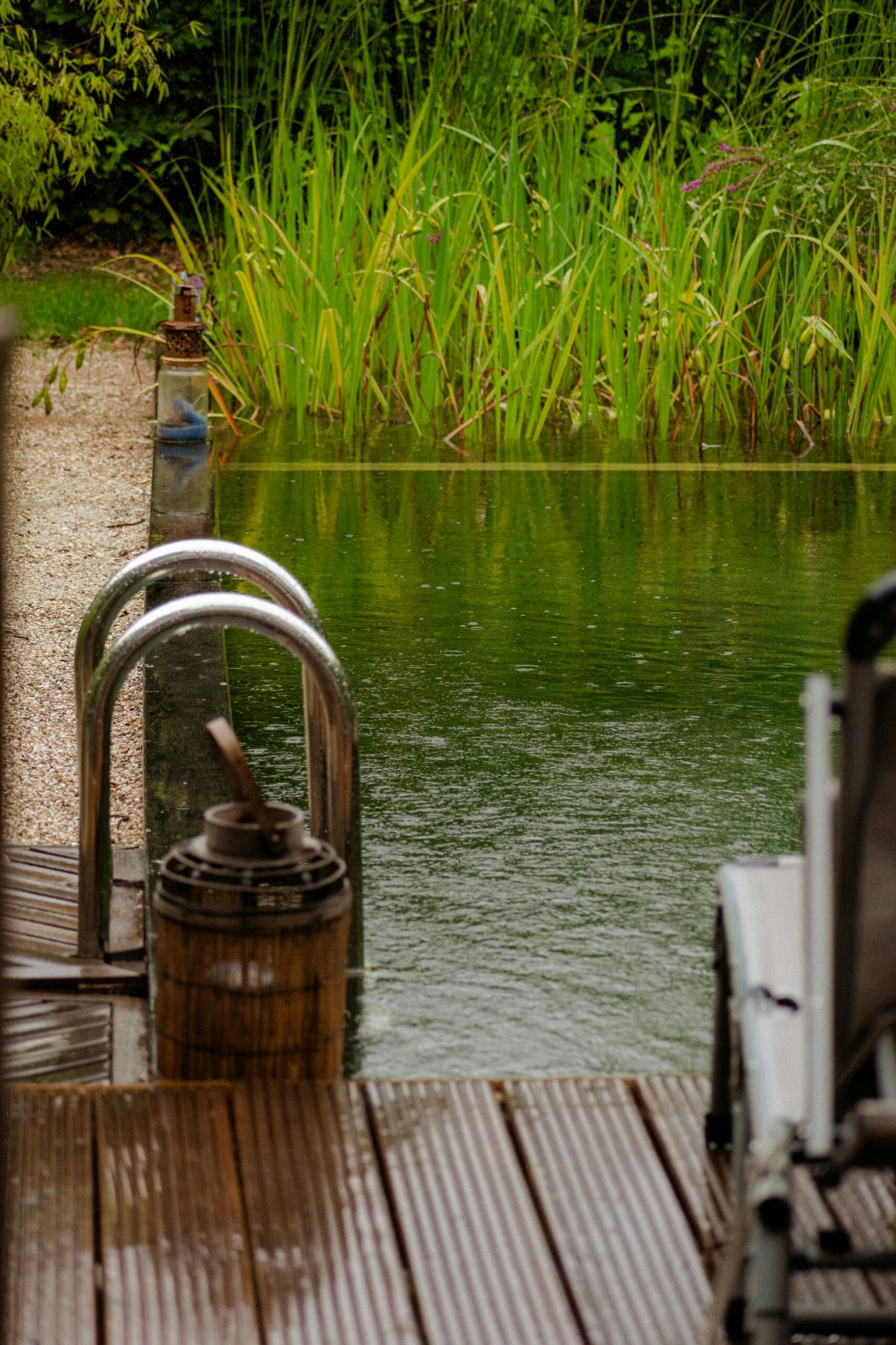 A serene view of a natural swimming pool surrounded by greenery, featuring a wooden pier and metal ladder on a rainy day.