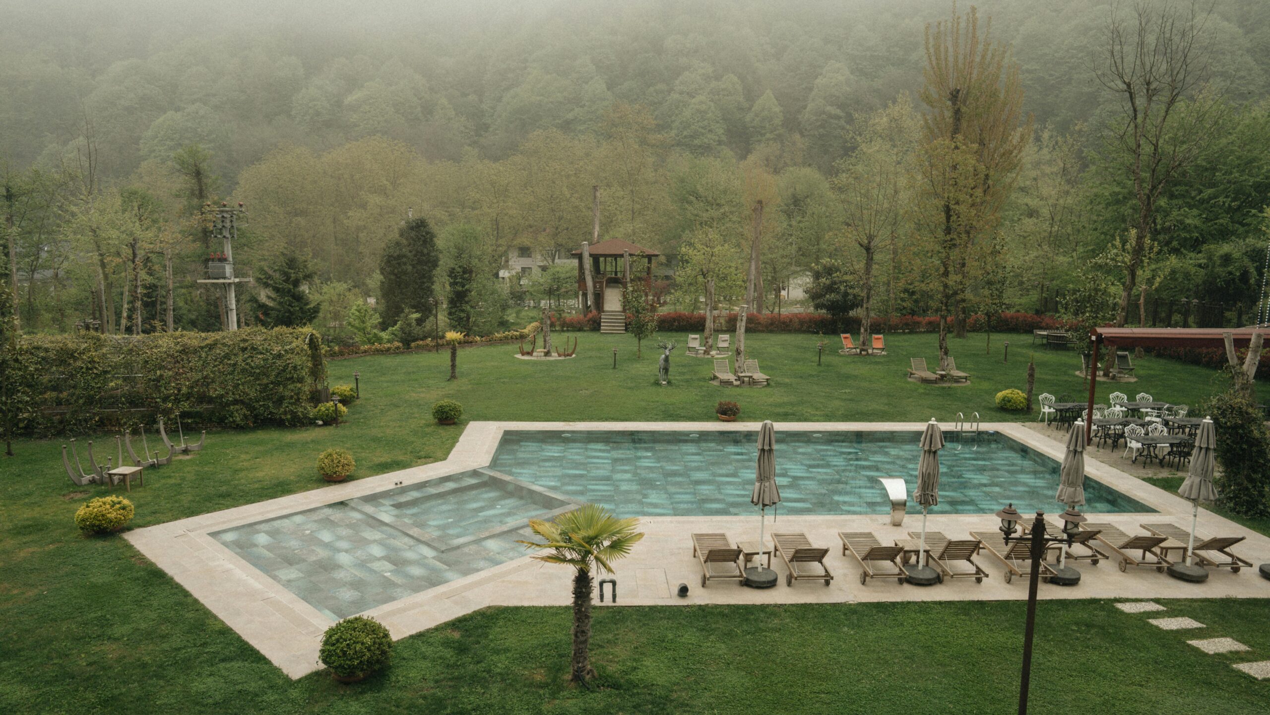A peaceful outdoor pool surrounded by lush greenery and misty woods, perfect for relaxation.