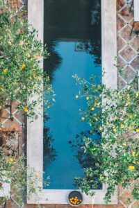 A tranquil pool surrounded by lush greenery and citrus trees, captured from above.