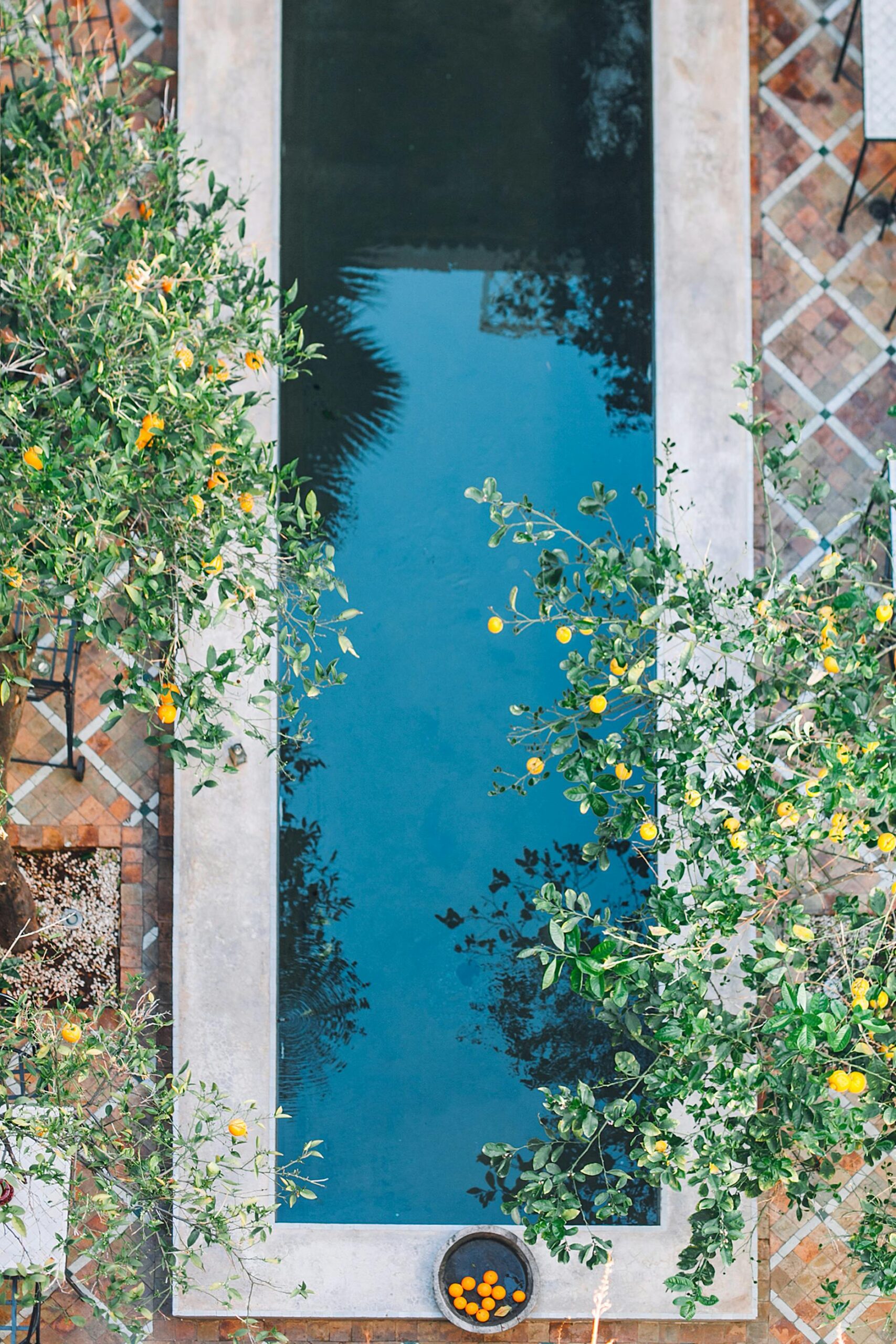 A tranquil pool surrounded by lush greenery and citrus trees, captured from above.
