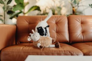 Cute small dog playing with a plush toy on a warm leather sofa in a cozy indoor setting.