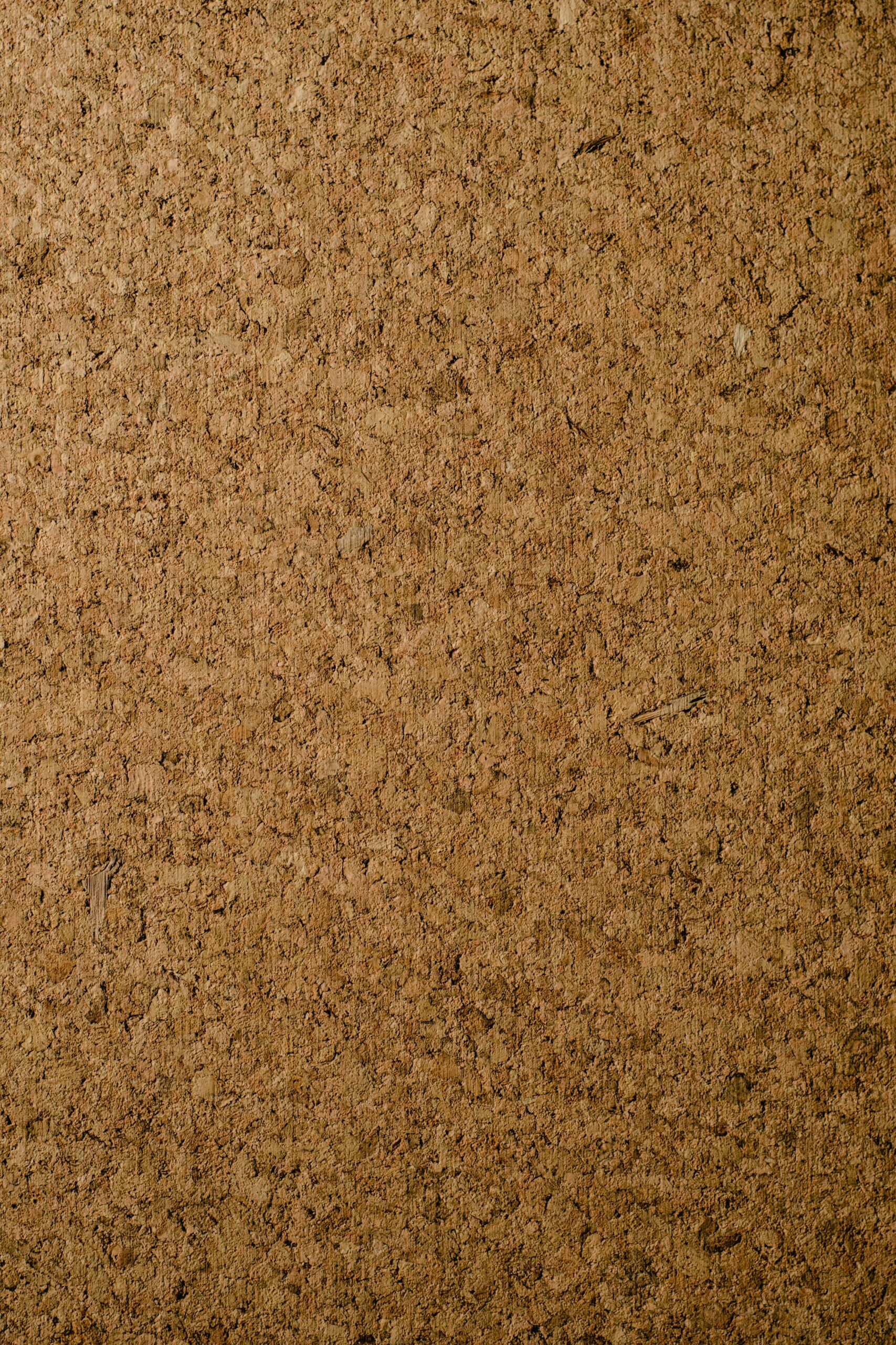 Close-up of a natural corkboard texture perfect for backgrounds and designs.