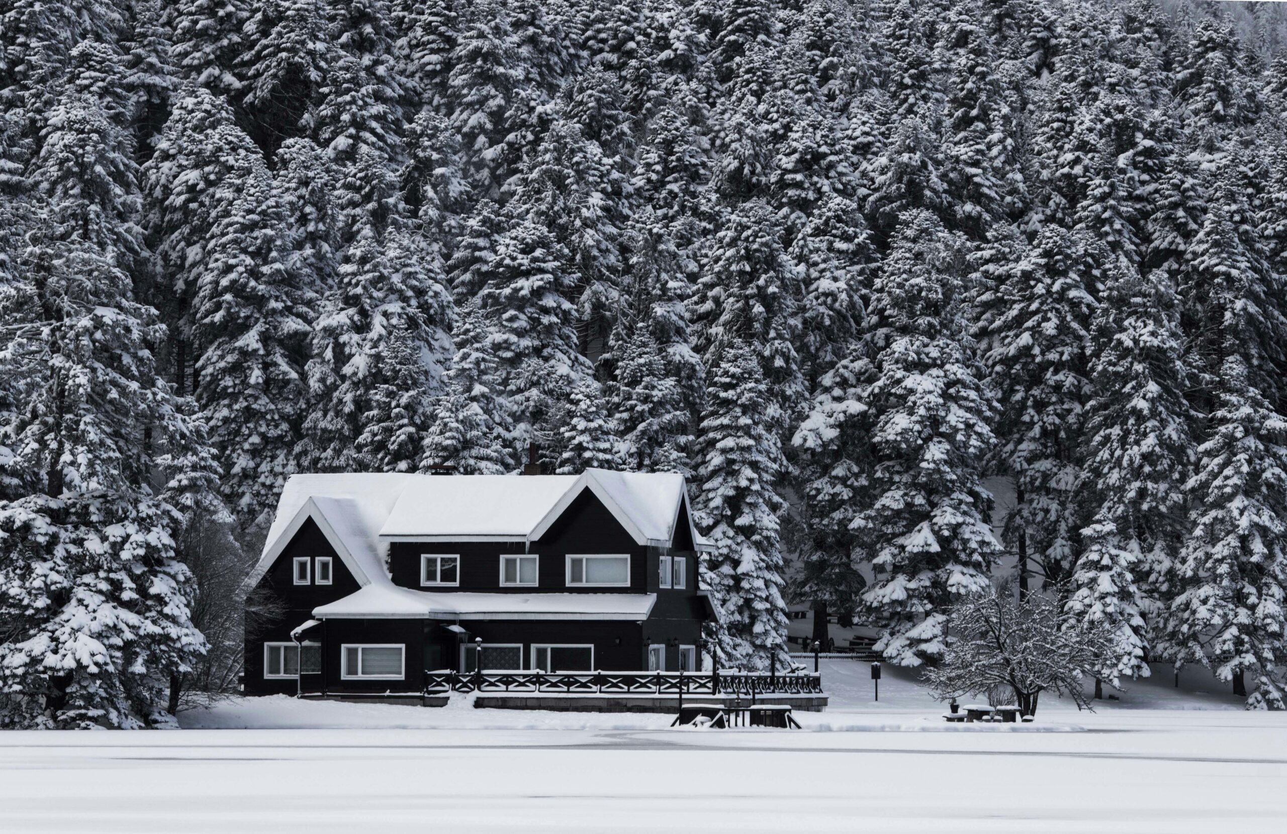 A scenic winter landscape featuring a snow-covered house surrounded by a dense, frosted forest.