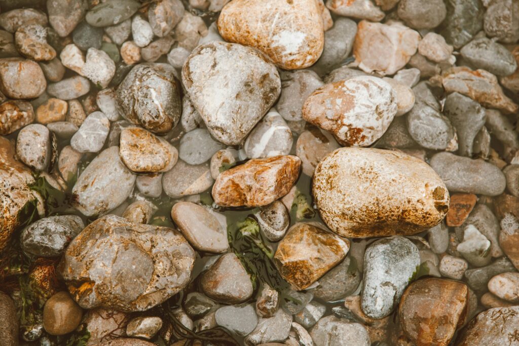 A collection of smooth, wet river rocks under shallow water, displaying natural colors and textures.